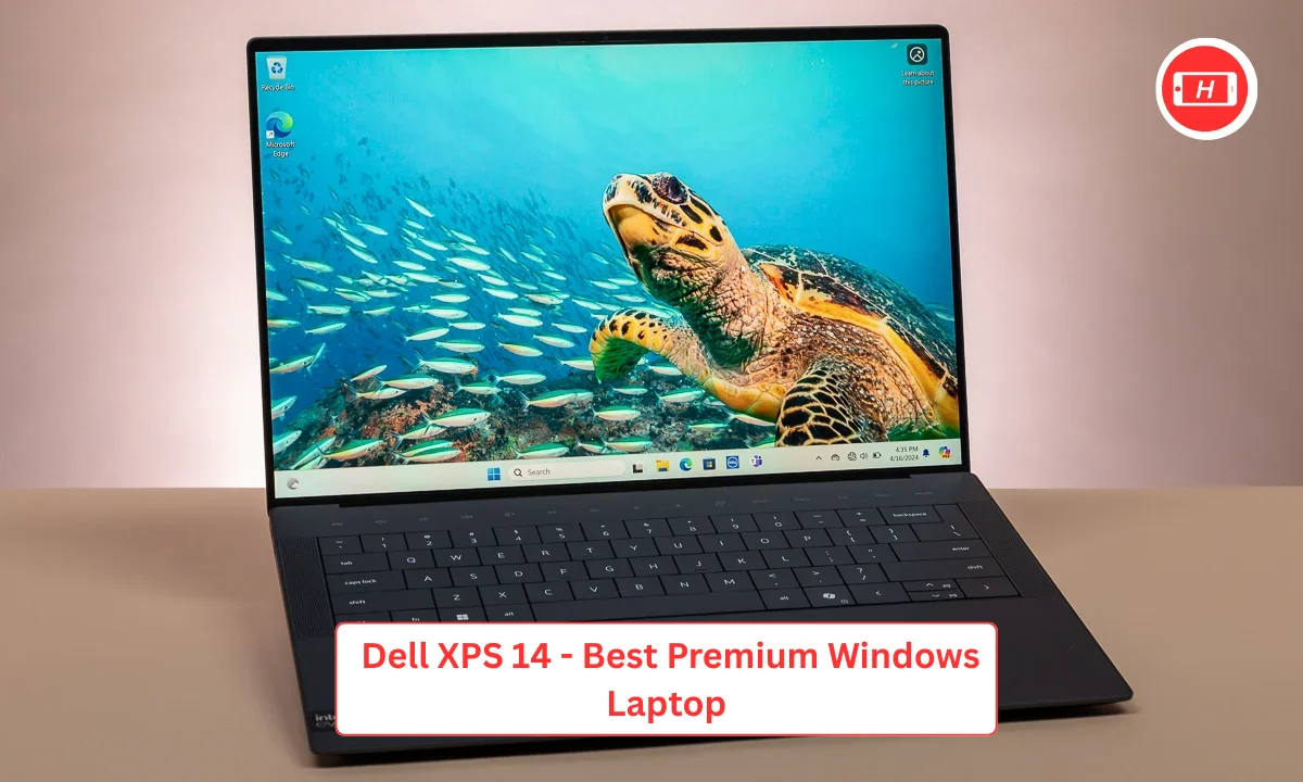 Dell XPS 14 - Best Premium Windows Laptop | Image With PC MAG